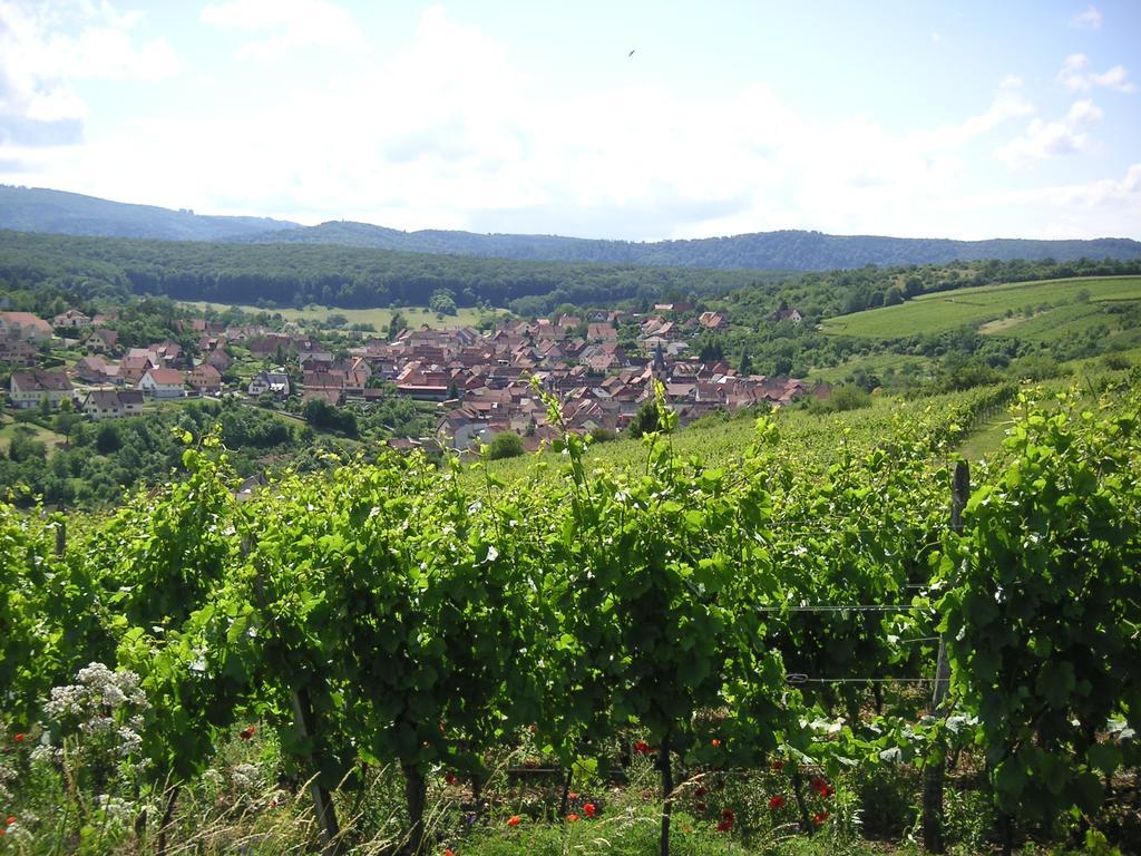 Gite Le Petit Moulin Rosenwiller Экстерьер фото