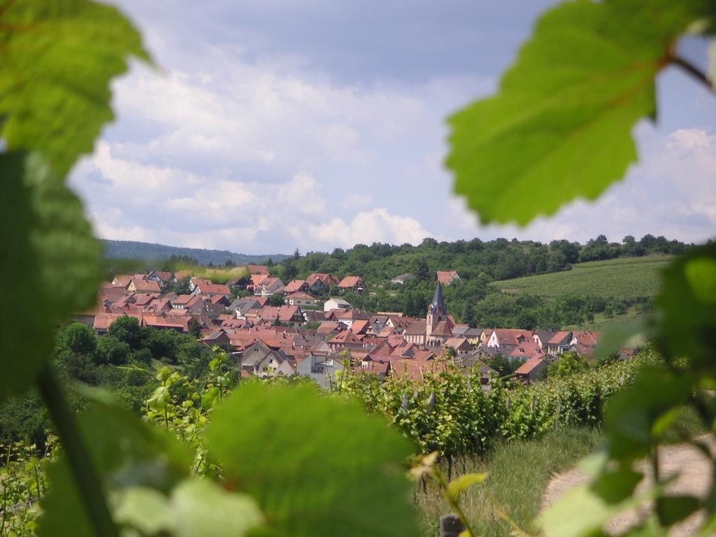 Gite Le Petit Moulin Rosenwiller Экстерьер фото