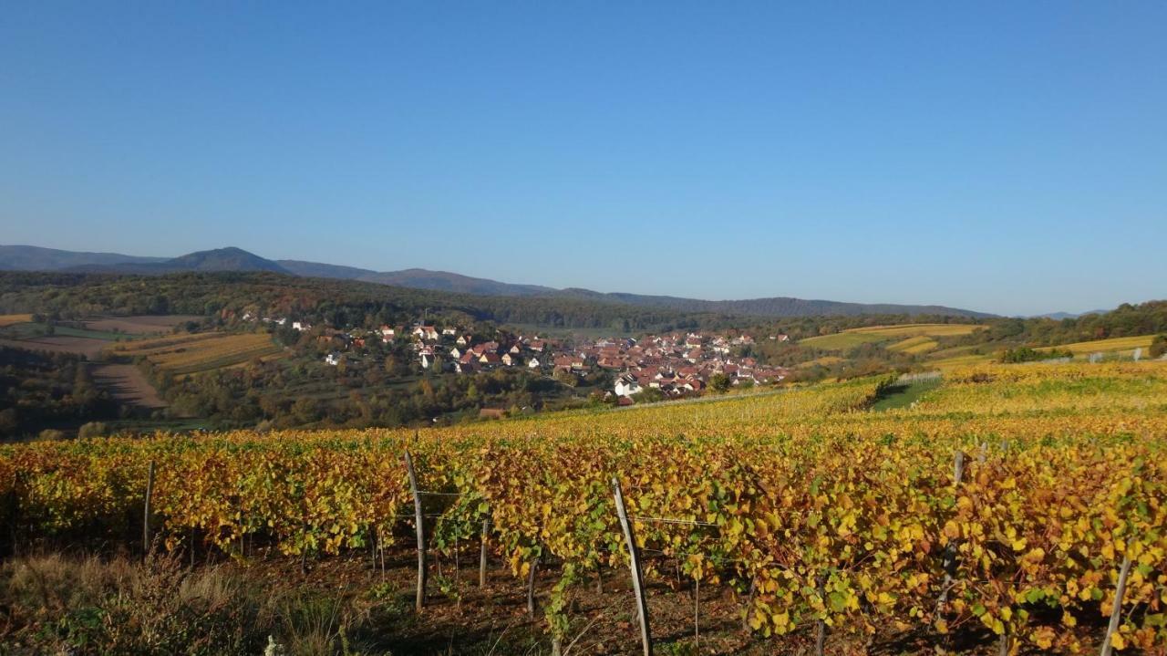 Gite Le Petit Moulin Rosenwiller Экстерьер фото