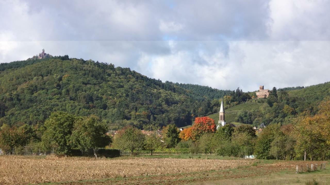 Gite Le Petit Moulin Rosenwiller Экстерьер фото