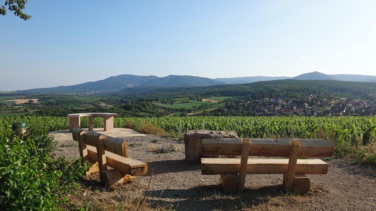 Gite Le Petit Moulin Rosenwiller Экстерьер фото