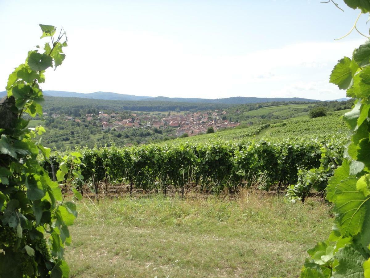 Gite Le Petit Moulin Rosenwiller Экстерьер фото