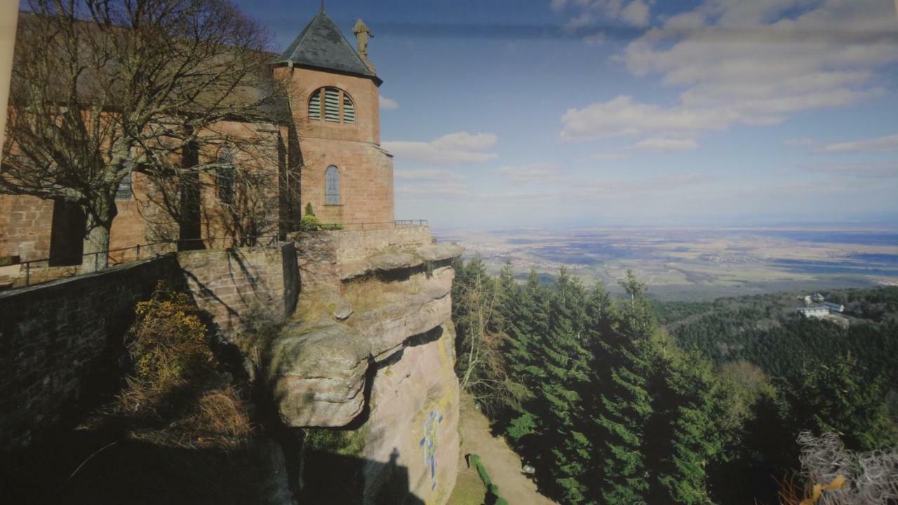 Gite Le Petit Moulin Rosenwiller Экстерьер фото