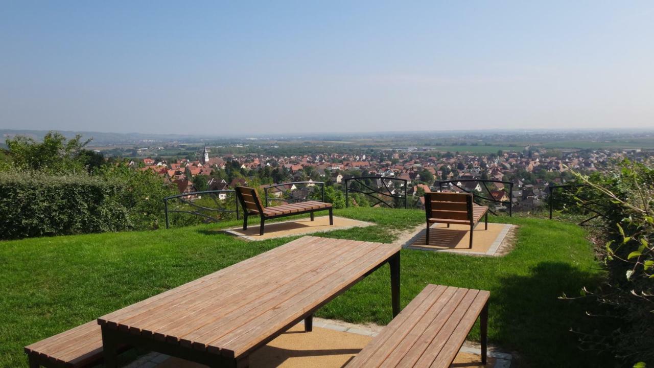 Gite Le Petit Moulin Rosenwiller Экстерьер фото