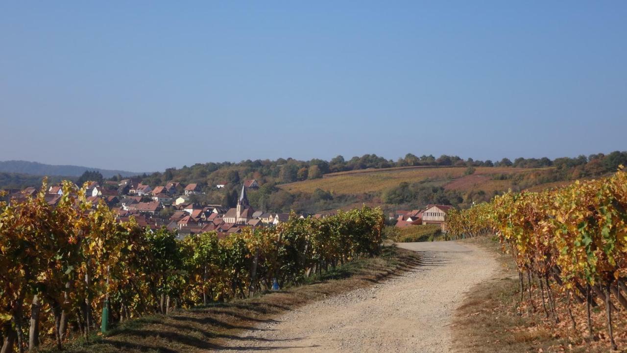 Gite Le Petit Moulin Rosenwiller Экстерьер фото