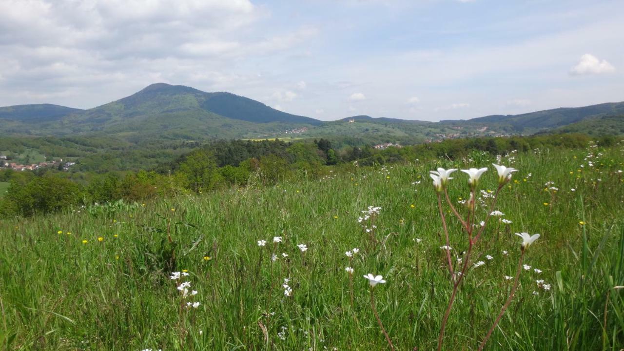Gite Le Petit Moulin Rosenwiller Экстерьер фото
